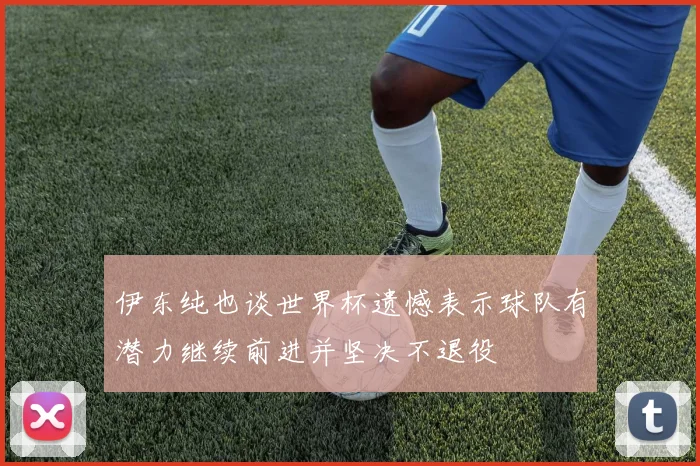 伊东纯也谈世界杯遗憾表示球队有潜力继续前进并坚决不退役