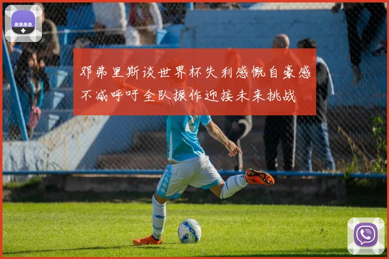 邓弗里斯谈世界杯失利感慨自豪感不减呼吁全队振作迎接未来挑战
