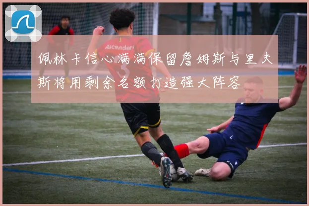 佩林卡信心满满保留詹姆斯与里夫斯将用剩余名额打造强大阵容